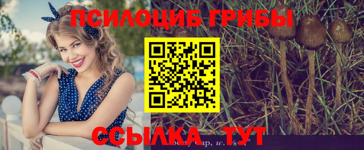 закладка  Галлюциногенные грибы Magic Shrooms  Галлюциногенные грибы Psilocybe  Вход с VPN  Алапаевск 